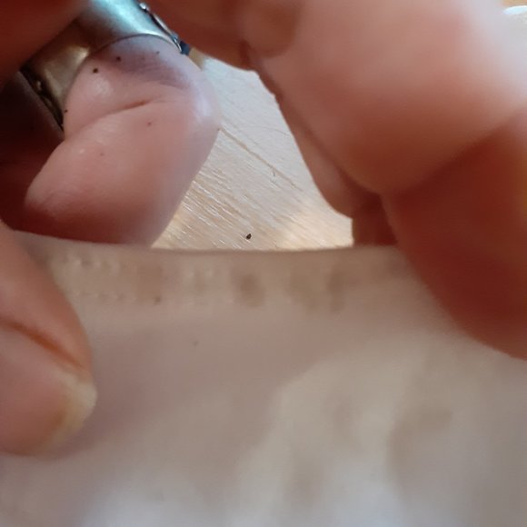 🍋NEW FOR LOVE & LEMONS SKIVVIES CLEMENTINE POLKA DOT WHITE MESH BODYSUIT SIZE L - Picture 6 of 9